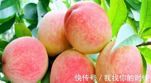 可溶性膳食纤维|男人要养肾,女人要养肝,3种食物,养肝护肝,排毒养颜,美容