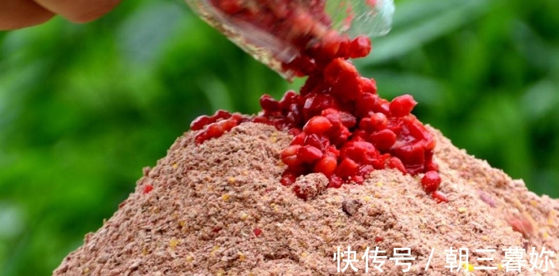 倒春寒如何钓鱼?心里揣好以下3招,这边手打着颤那边鱼上着钩