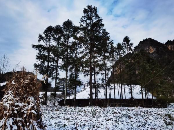 四川|今日立冬，四川这些地方下雪了 ！