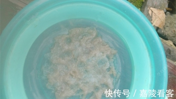 鲫鱼|冬季钓鲫鱼,推荐几款自制拉饵,成本几块钱,比商品饵更好用