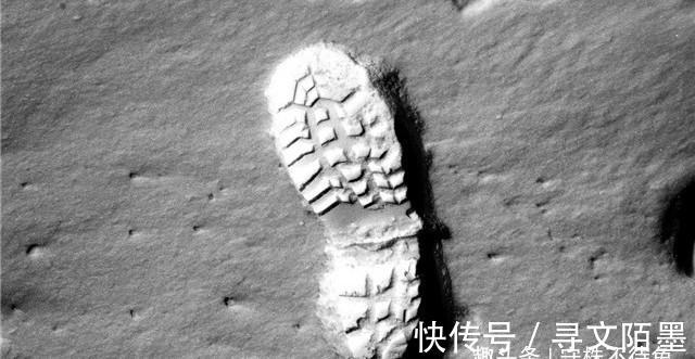 23个冷知识:容易被人忽视,但除了有趣也没什么用