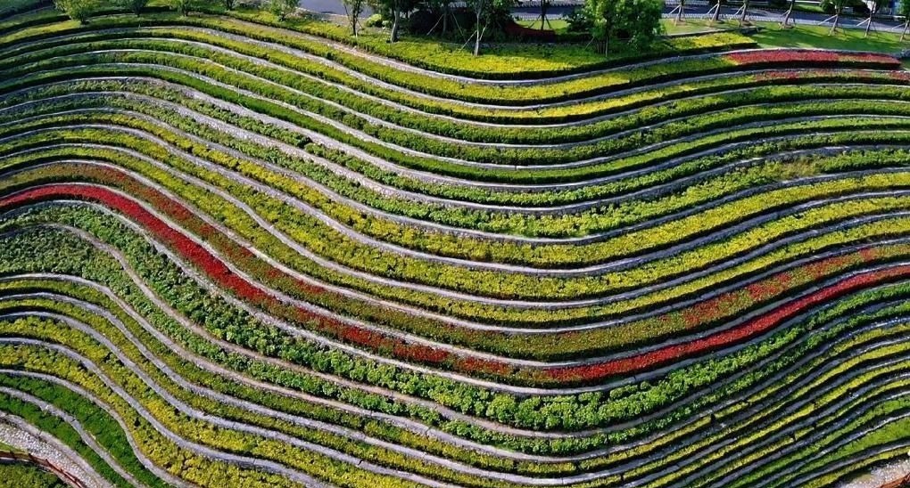 景色|我国最美的人工梯田，位于城市中心，堪称“大山深处的奇迹”