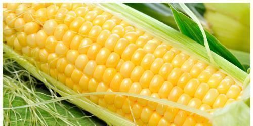 芹菜|养肝就是保命!3种蔬菜,养肝护肝,肝脏“舒服”,人才更显年轻