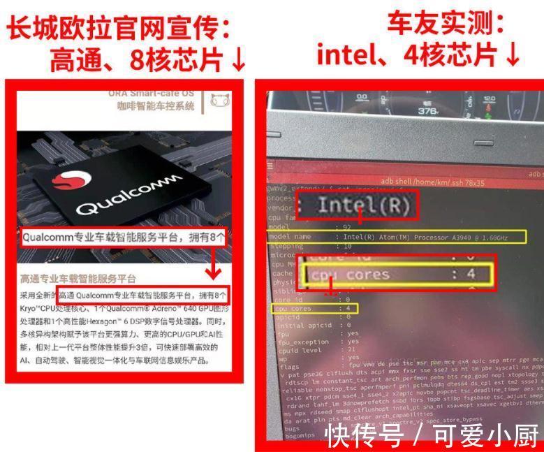反省|欧拉好猫的“芯片门”,欧拉必须反省,长城必须行动