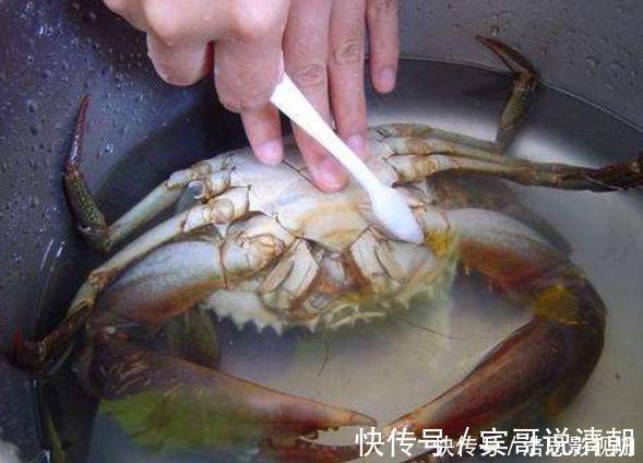 河蟹|不管蒸什么螃蟹，最忌直接蒸！多加这1步，既不掉腿也不流黄