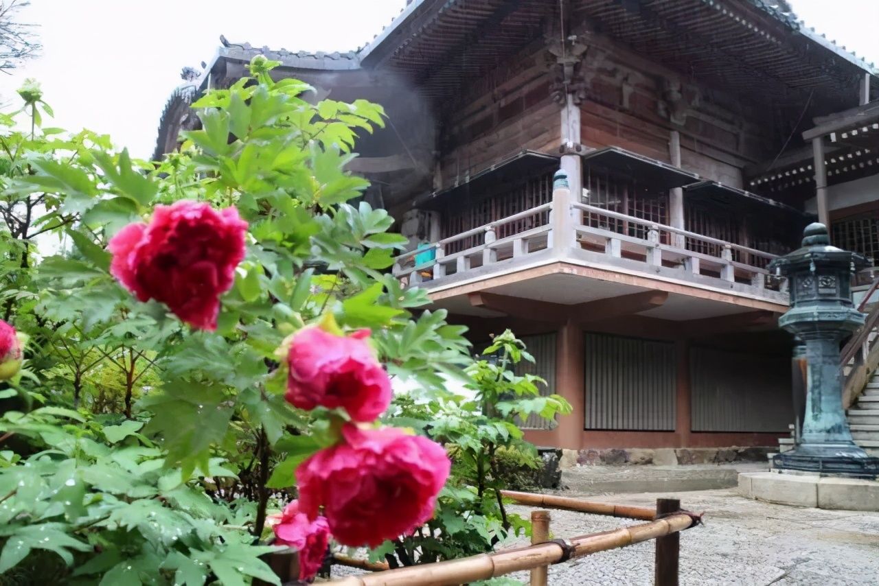 朝圣之路|日本民宿的另类玩法：寺院里的宿坊