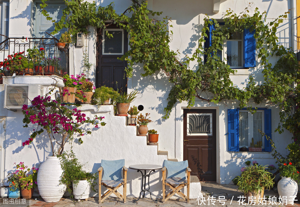 阳台|阳台养殖盆景花卉,7个原则要遵守,才能花开满阳台