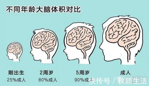 高级语言|3岁前是“黄金发展期”，别错过三大窗口，最后一种特重要