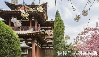 道理&杨万里的一首绝句,全篇无一生僻字,却阐述了为人处世的道理