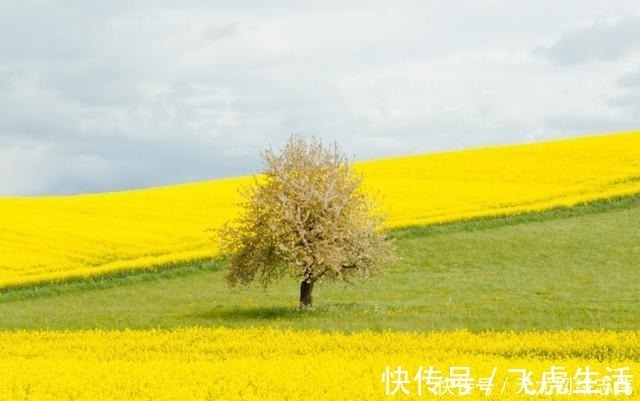 双子|水瓶座：伤心时能陪你一起淋雨的5个星座，与你共进，也与你伤感