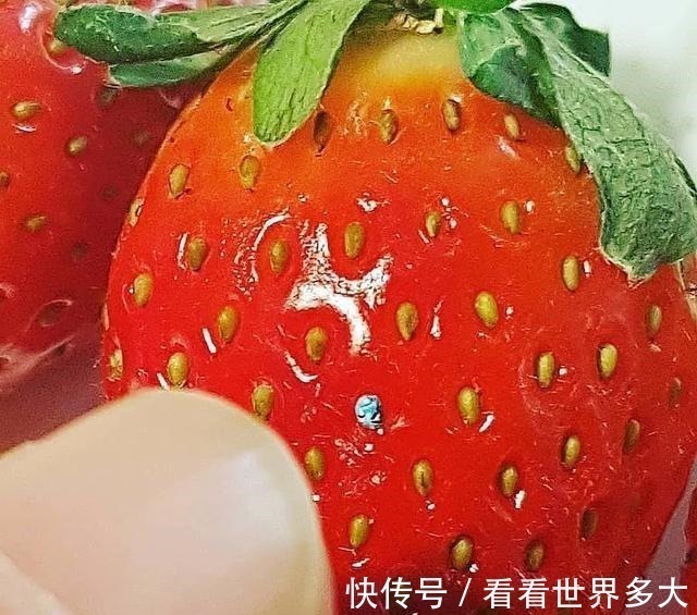 砂糖粒@惊爆眼球!60岁帅大爷在头发丝上画画,米粒、瓜子都给他当画布!