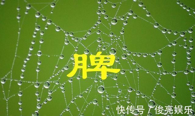 脾胃虚弱|“脾虚百病生”,脾虚的人,注意三个方面健脾,常吃三物做三事