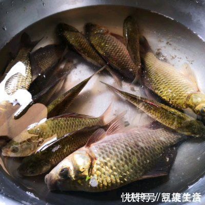 野生|一看就会的红烧鲫鱼，野生的小溪鲫鱼鲜的眉毛掉下来