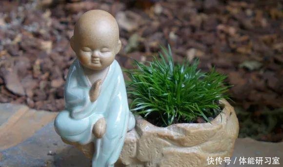 秋天的院子，养点喜欢的花，乐得自在！