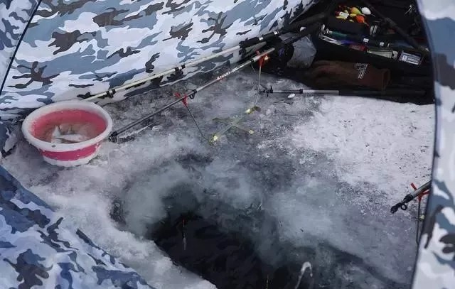 鱼口轻就不钓了?庆幸还有这“应对秘方”,每次都能钓满渔护