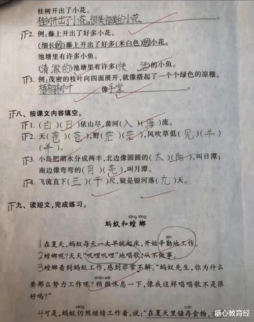 老师|小学生学霸语文试卷走红，引家长传阅，老师：这样的学生太少见