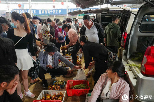 蘑菇|去了趟云南，看看吃蘑菇到底能不能见小人