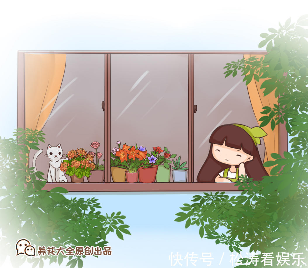 仙人掌|仙人掌烂根不用怕，这样处理一下，轻松长出大白根