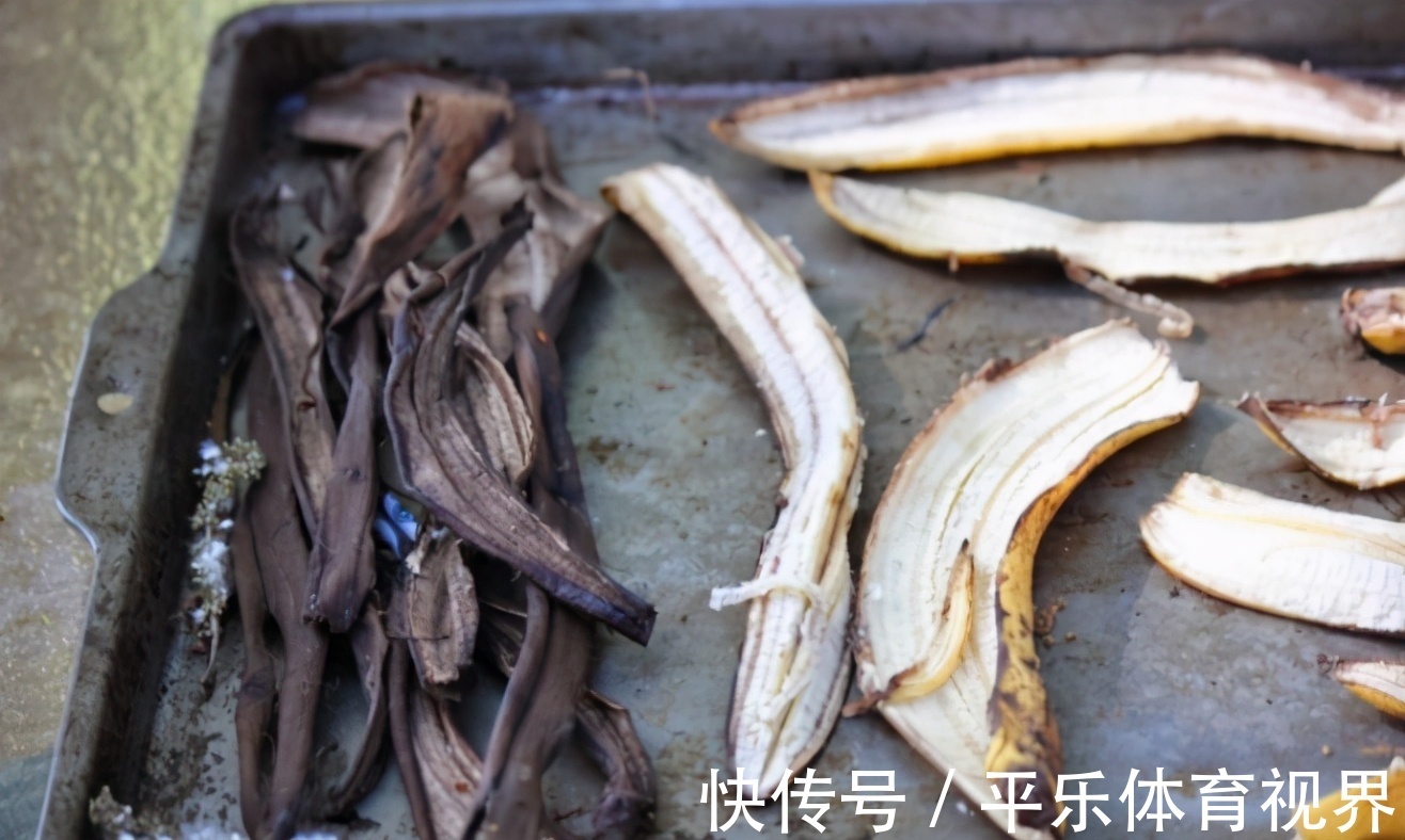 生活中哪些材料富含钾元素,该怎么处理拿来养花?