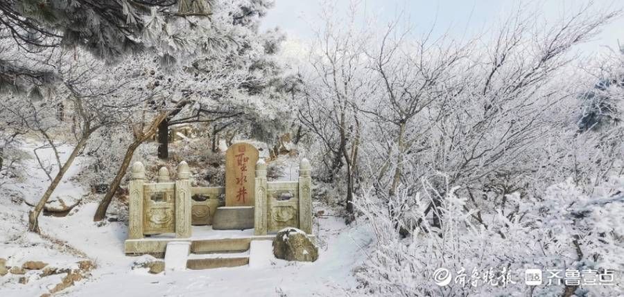 岱顶|壹图集丨腊八泰山迎瑞雪，岱顶秒变“琼楼玉宇”