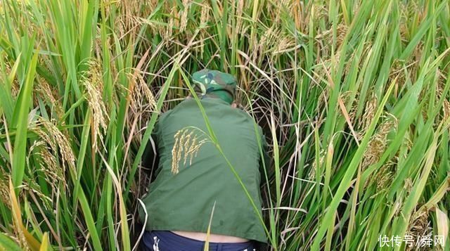 美味|农村稻田边上野餐,这样的美味让人欲罢不能,你吃过吗?