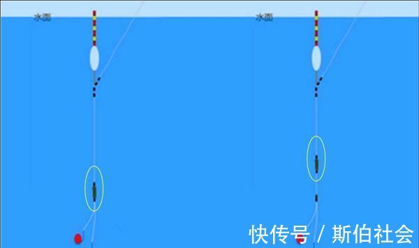 钓鱼狠招数:铅坠上拉更诱鱼,铅坠下拉更能中鱼!