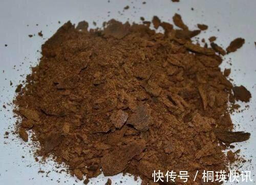秋季养“蟹爪兰”,10天浇1碗肥水,开花多3倍,花朵大、花色艳