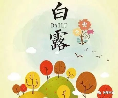 白露|科学养生：进入白露后养生小常识