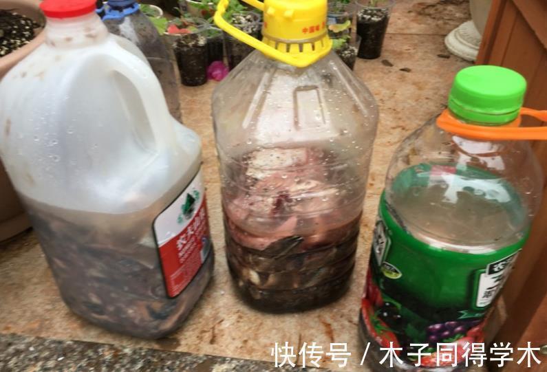 养花催花用这种“水”，株苗2周就冒花，开花又多又美，密如麻