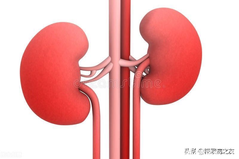 肾脏|糖尿病患者一定要抓住逆转糖尿病肾病的黄金时期，保护好自己的肾脏，方法很简单