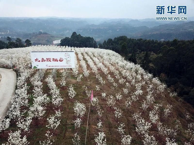 这个季节赏花踏青刚刚好~