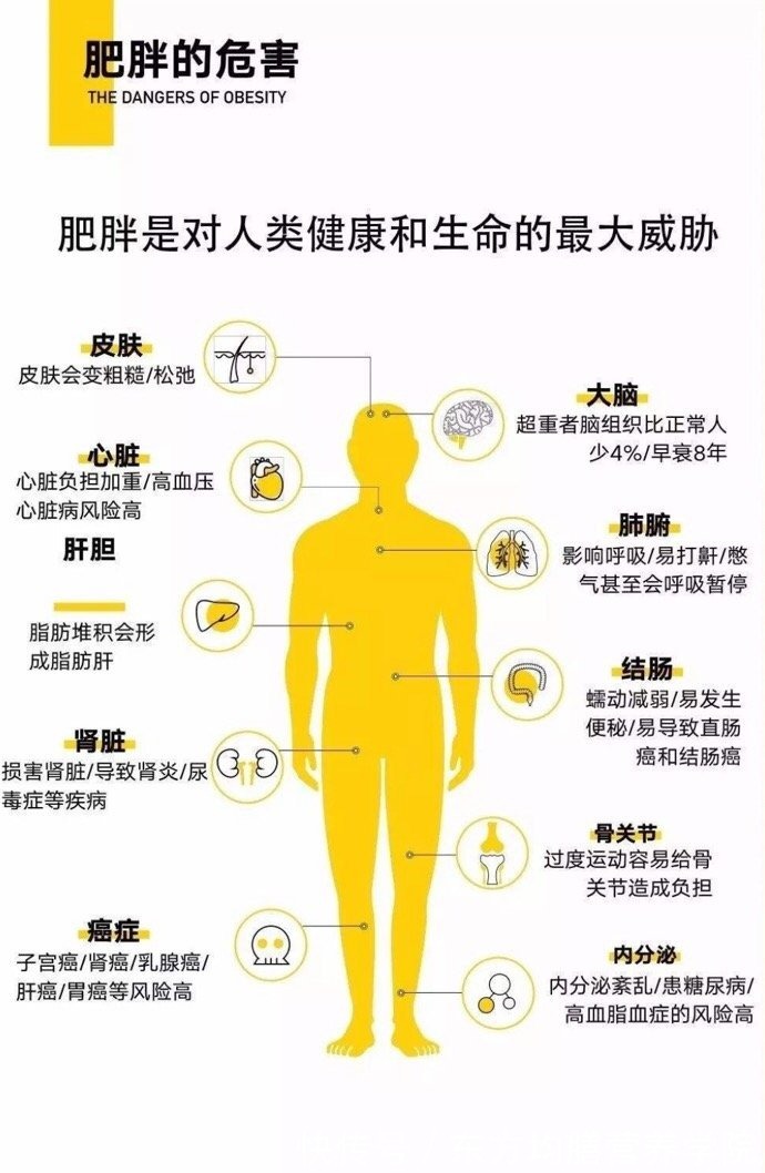 肥胖症|怎么样才能摆脱超重、肥胖的阴影,做到合理减重呢?