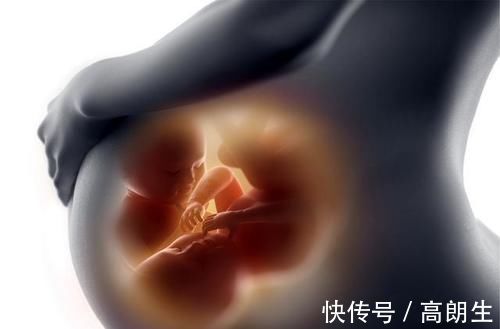 流产|怀孕1~10个月,胎儿发育变化全过程!想“修炼成人”还得过四关