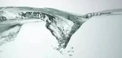 白养|皮肤差要吃，脸色黄要吃，美白养颜更要吃