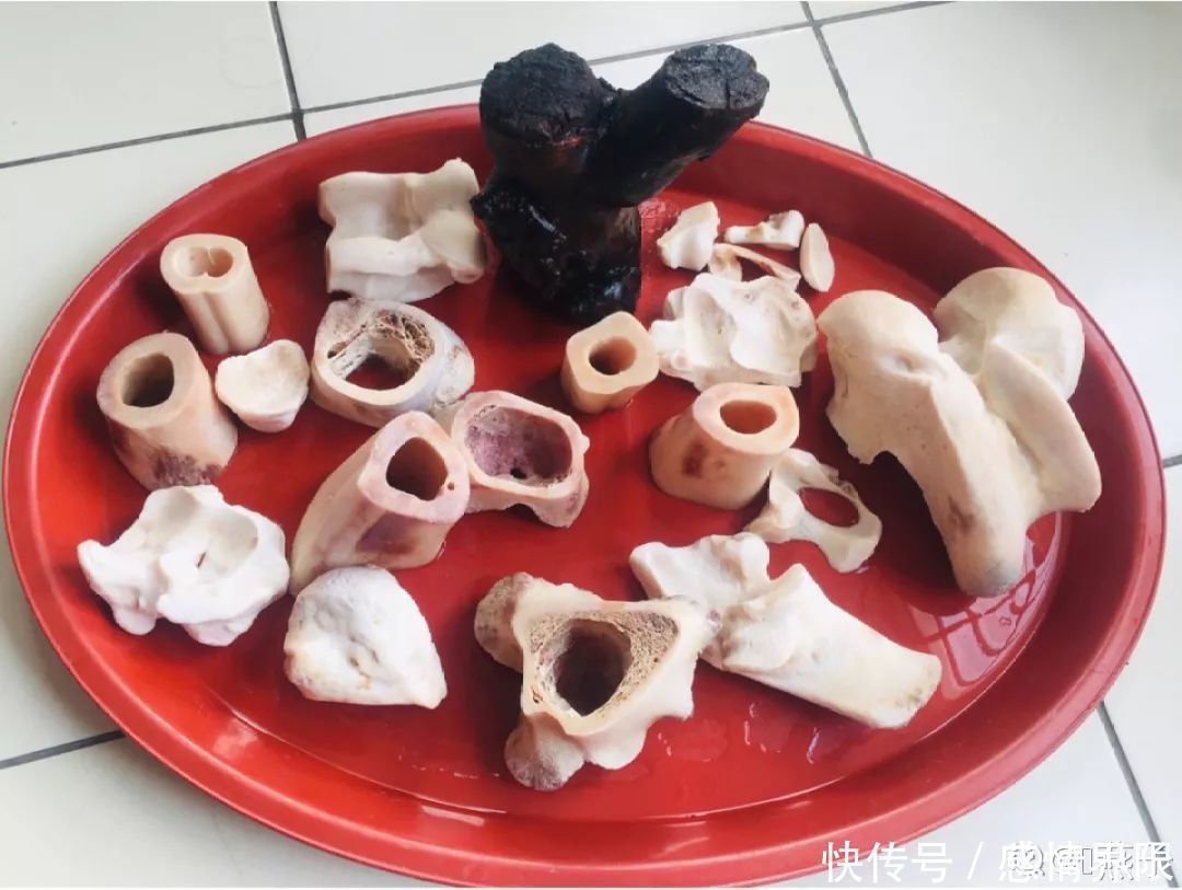 多肉盆栽猪肉这么贵,骨头洗干净种多肉,比花盆还好看