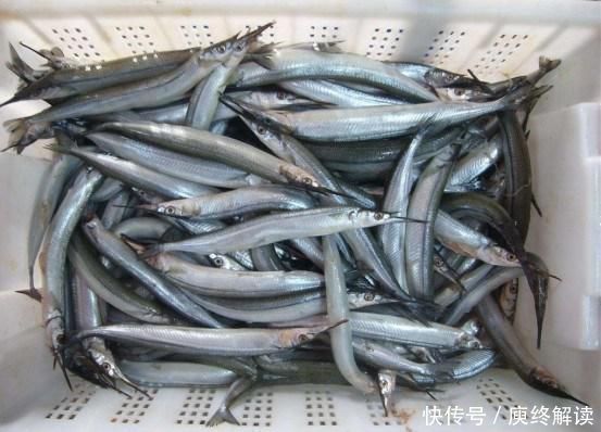 夏天遇到此鱼别手软，趁现在无法人工养殖，买来烤着吃