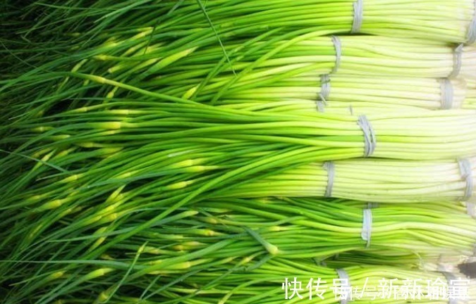 焯水|炒蒜苔,“最忌”直接下锅!教你正确做法,又香又脆还入味,好吃