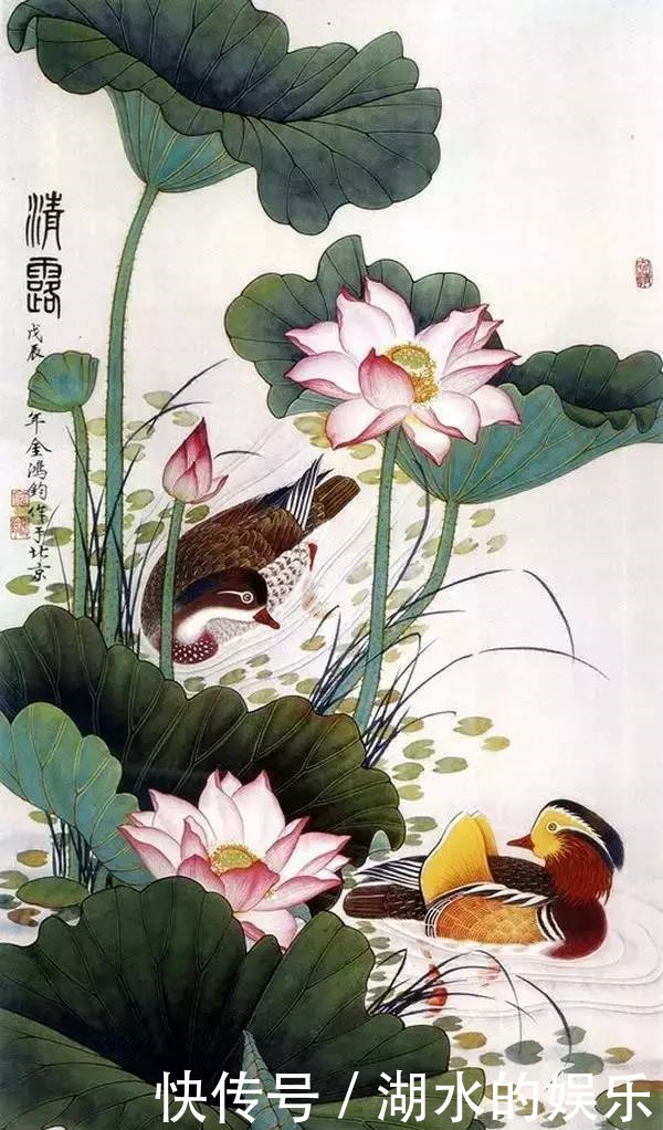 好漂亮的鸳鸯戏水图:祝愿天下有情人!