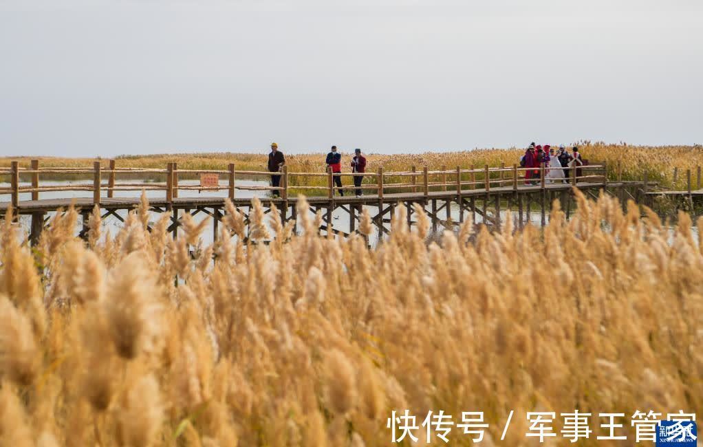 大内陆河|秋日居延海