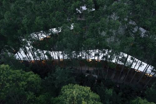 建筑|从大兴机场到“山之厕”，这些获奖建筑引领了中国潮流