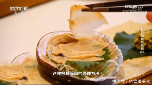 盛宴|溏心皇金鲍:二十分钟享受一场绝顶食材的味蕾盛宴!