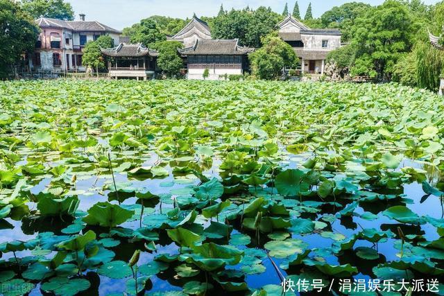 中年|身家60亿的南浔首富，3代人用40年只干一件事，惊艳整个江南