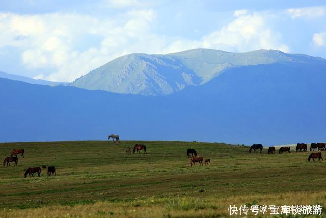 你可去过伊犁美丽的大草原？这可是个不可多得地方，独具西域风情