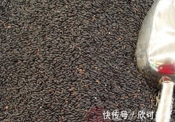 养肾|红枣和此物一起煮,滋阴养肾,排毒祛湿,头发乌黑亮丽,肌肤红润