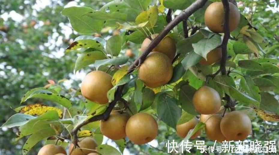 养阴生津|肝不好的人,冬季多吃2类食物,有助养肝护肝,肝病可能慢慢好转