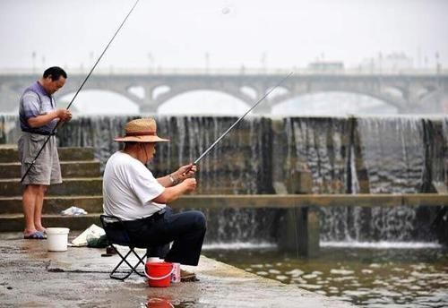 导致的鱼不吃饵|野钓河里鱼真多,就是不吃饵,有些情况就是钓鱼人自己造成的