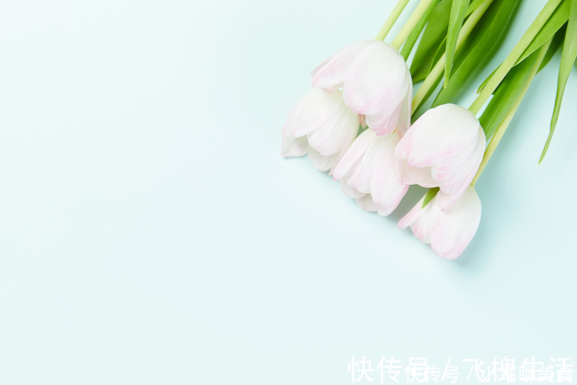 甜蜜蜜|夫妻生活中,“折腾”是一种聪明的经营方式