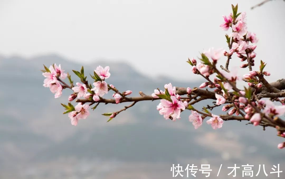 淮中晚泊犊头@20首春雨诗词，一朝春雨过，万物皆清明