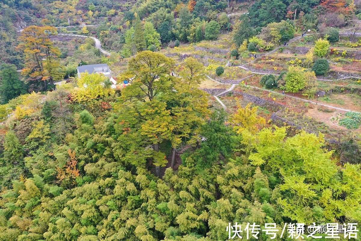 塔川|宁波有个古村媲美篁岭秋色，却被人为破坏，不是功绩，是败笔