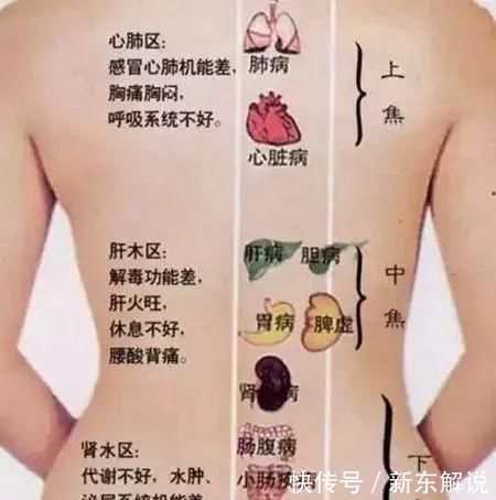 难经|搞懂了人体的“三焦”,所有疑难杂症,都可迎刃而解,建议收藏!